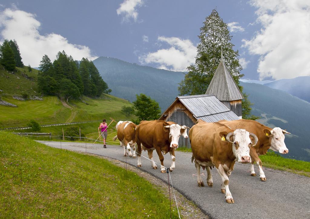 Schrunerhof Ebene Reichenau Quarto foto