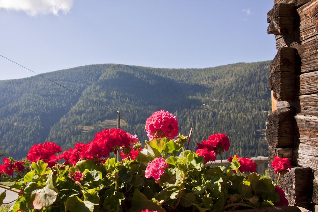 Schrunerhof Ebene Reichenau Quarto foto