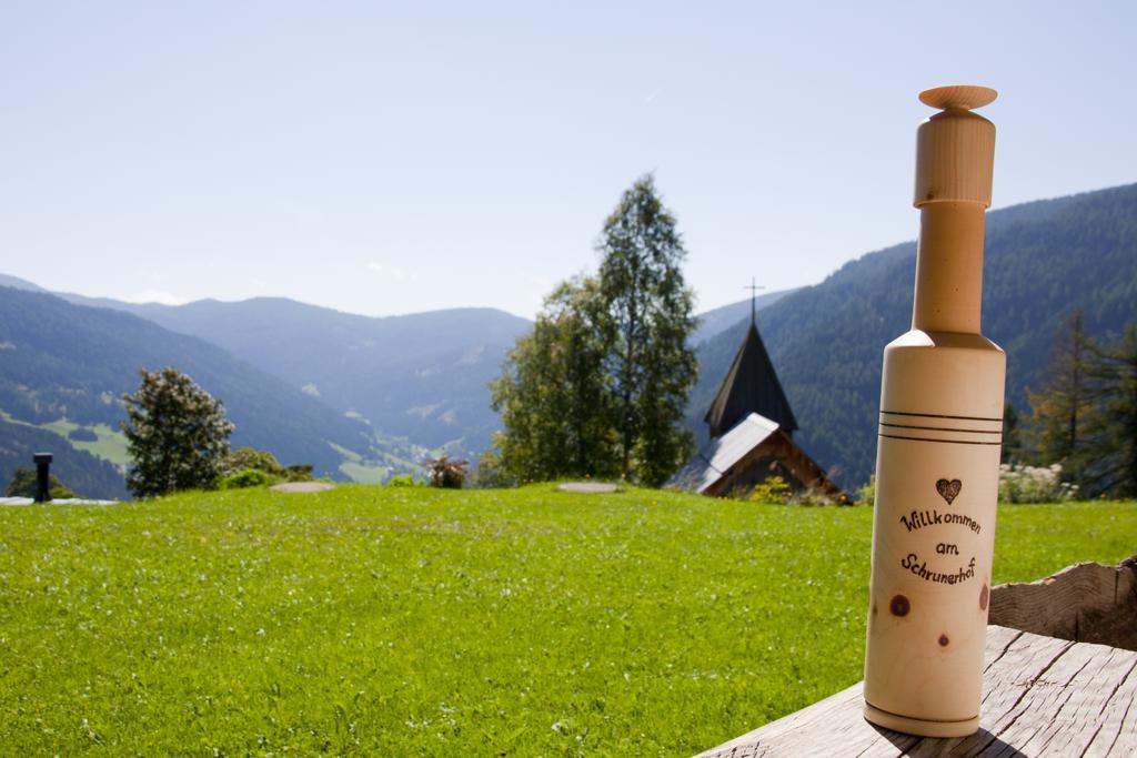 Schrunerhof Ebene Reichenau Quarto foto